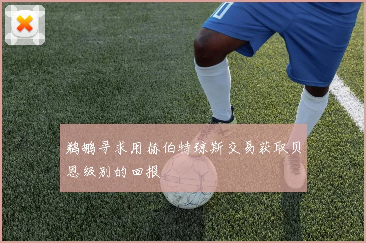 鹈鹕寻求用赫伯特琼斯交易获取贝恩级别的回报