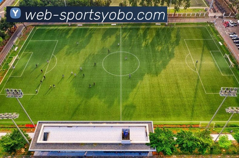 多媒体互动体验